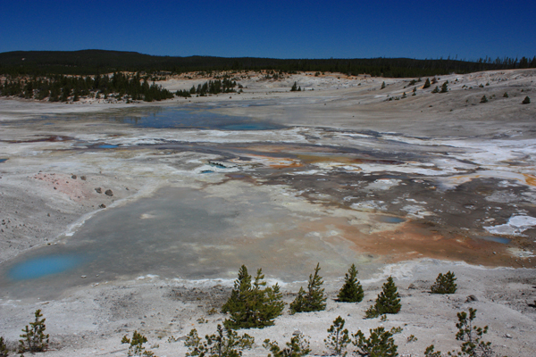Norris-Geyser-Basin