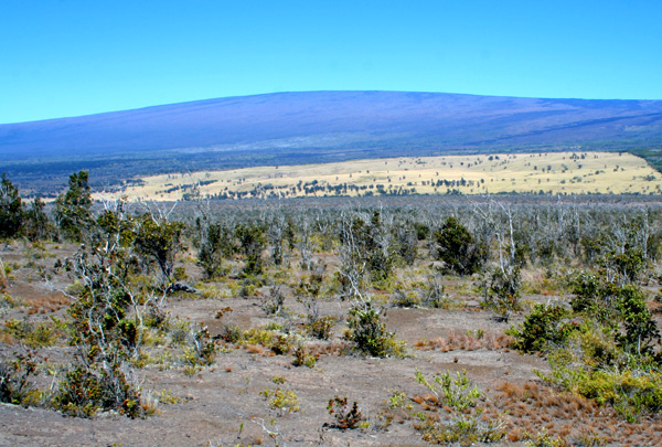 Mauna Loa General