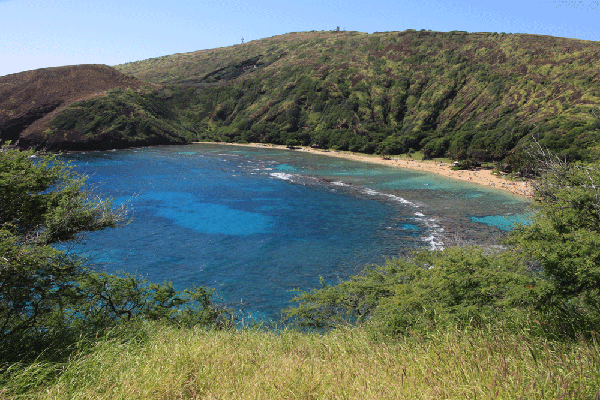 Hanauma-Bay