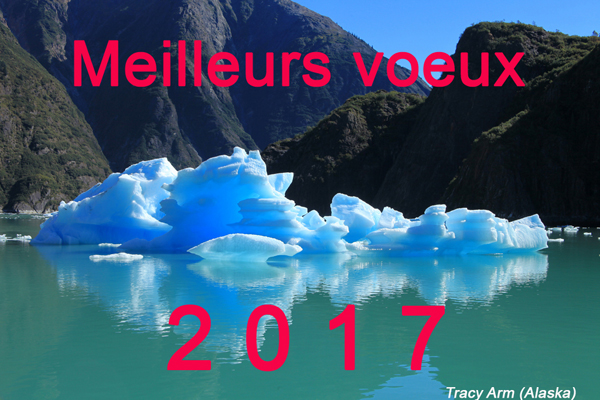 voeux-2017-blog